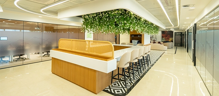 Office design reception with greenery.webp
